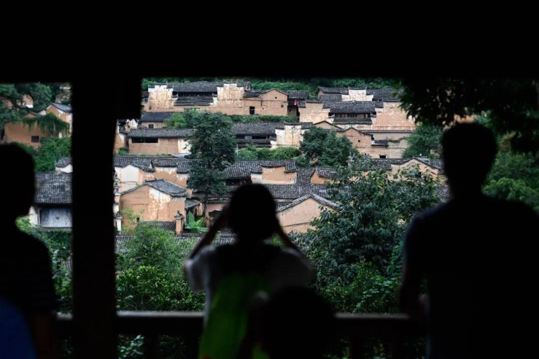 哈密瓜怎么挑选 6个挑选哈密瓜的小妙招游戏画面
