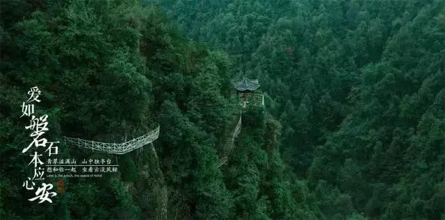 任友群履新副部长级领导职务