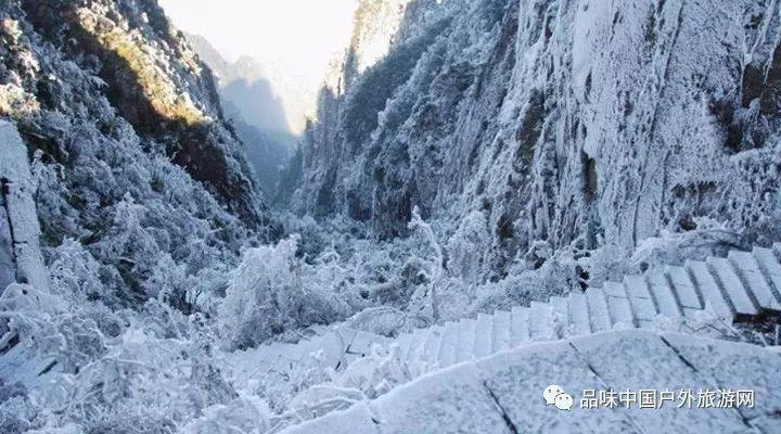 河南一地多人持棍棒、皮带当街殴打一男子，派出所：正在调查中