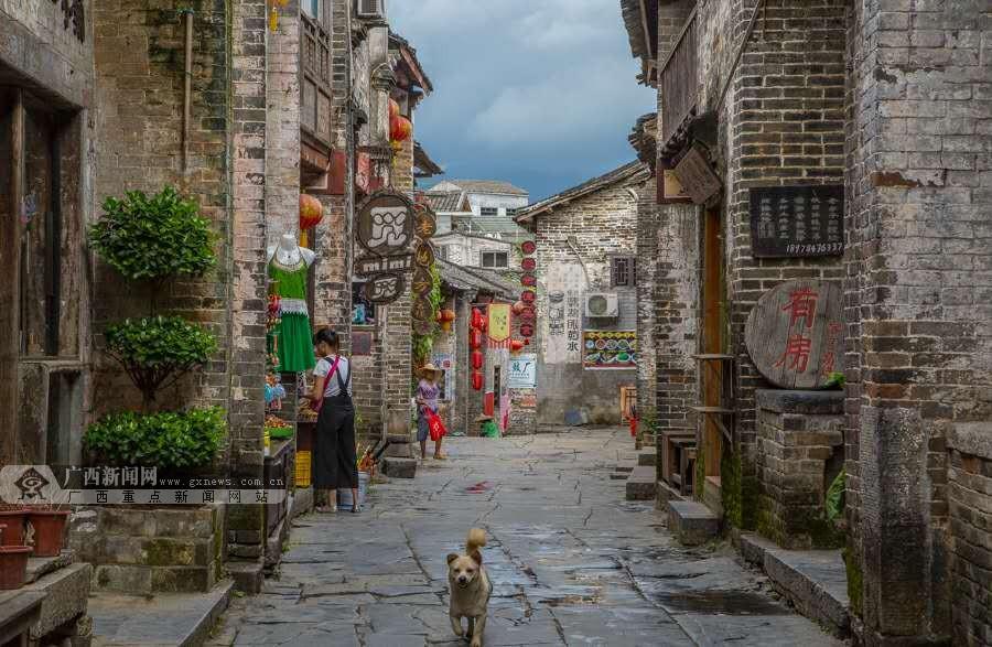 鱼豆腐有营养吗-实用机智问答网页