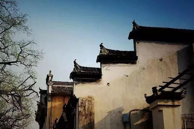 还有高中生不知道吗?济南大学国际本科100%全员出国!